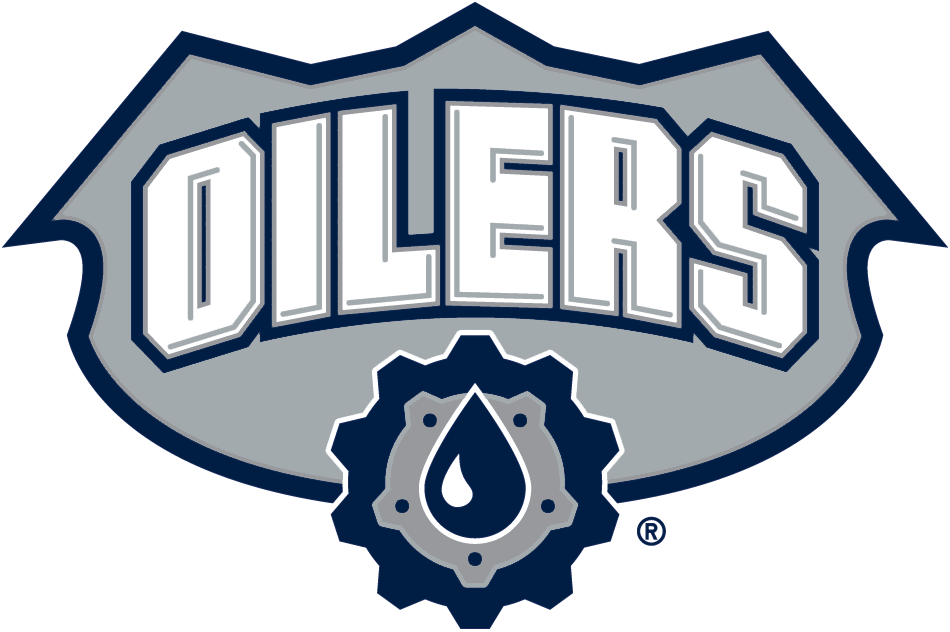 Edmonton Oilers 2001-2007 Alternate Logo iron on transfers for T-shirts
